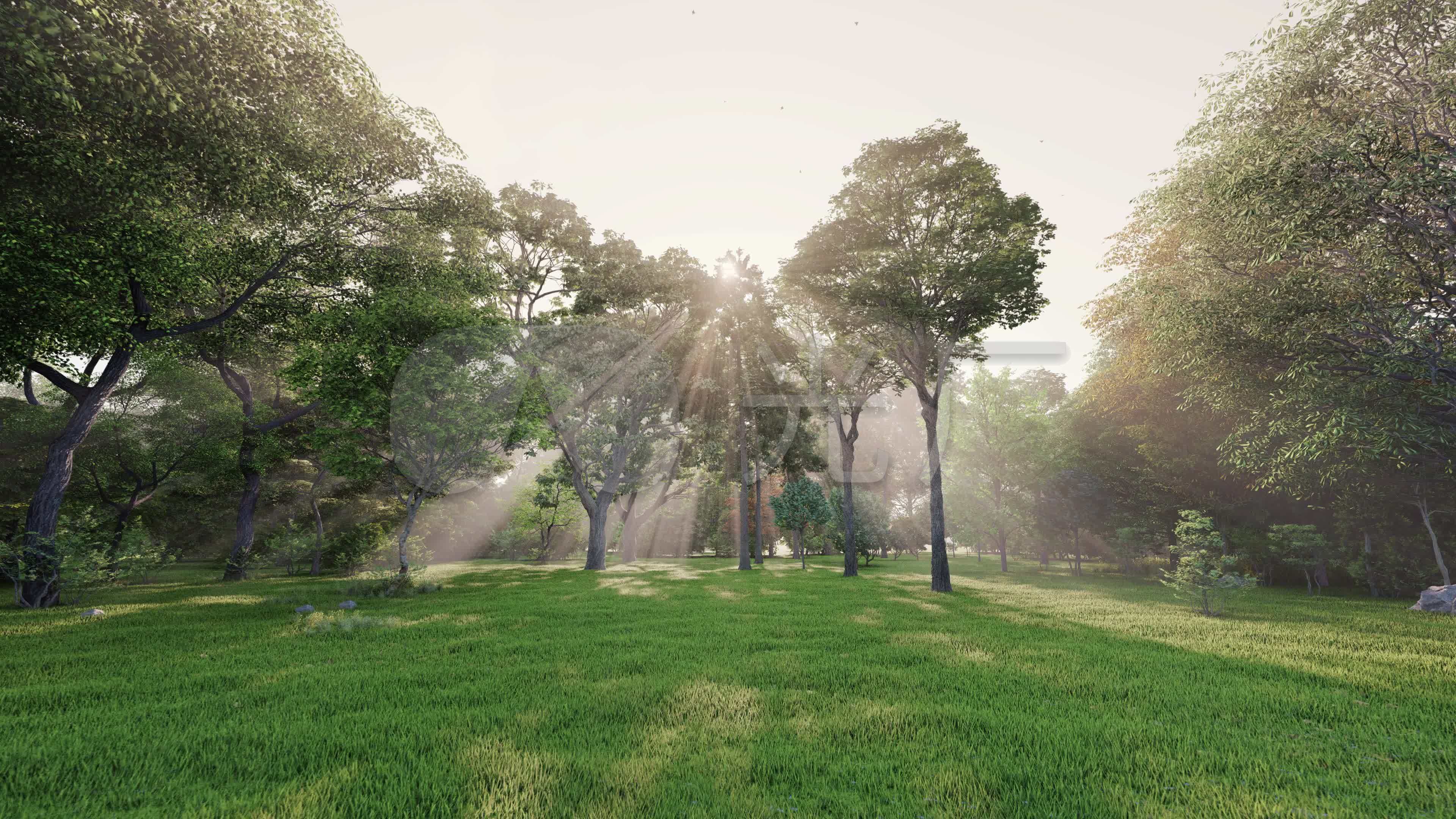 树林里的阳光摄影图配图高清摄影大图-千库网
