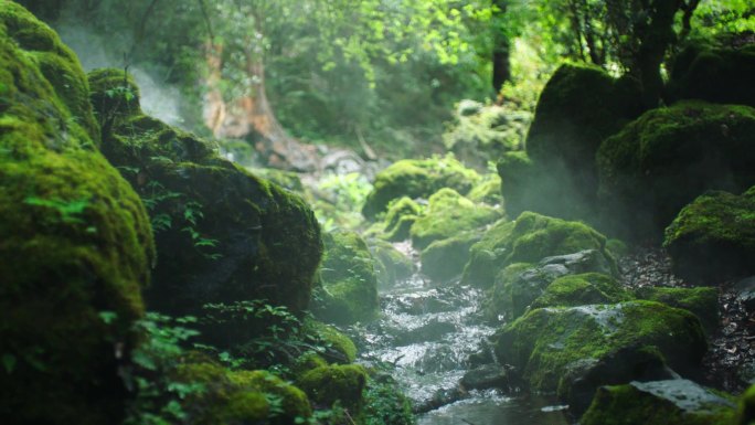 林间溪水