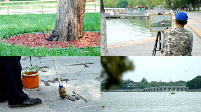 北京颐和园昆明湖风景游人和野生动物