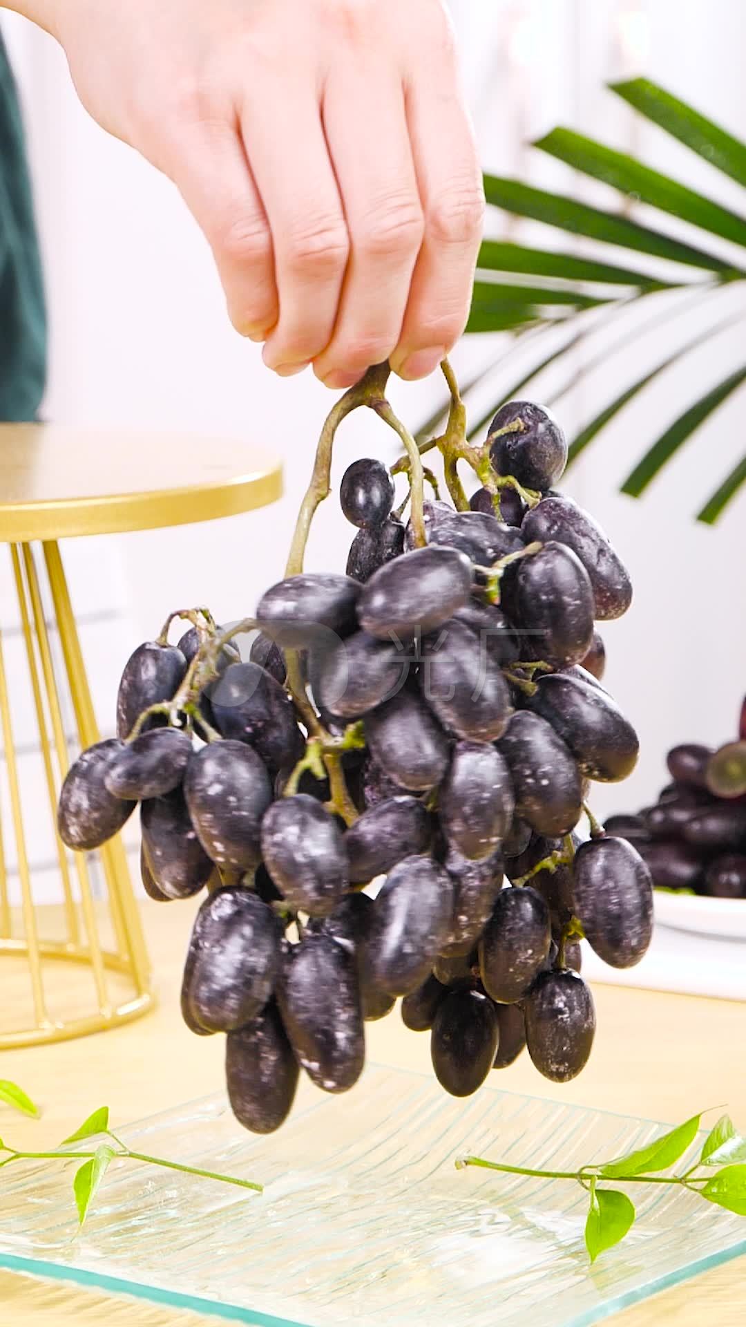 美国无籽黑提葡萄（2袋.约2kg） – 果山フルーツ