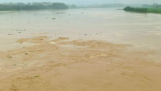 黄色河流洪水过境奔流防洪安全预警浑浊