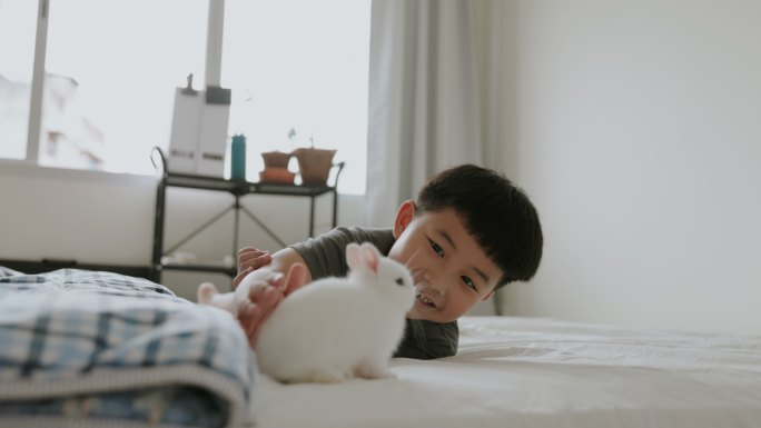 可爱的亚洲男孩和他的宠物玩耍的快乐时刻。