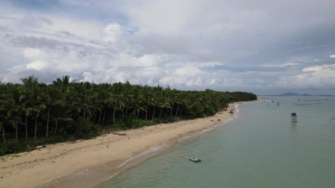 海南 文昌 东郊椰林 椰子树海海边椰子树