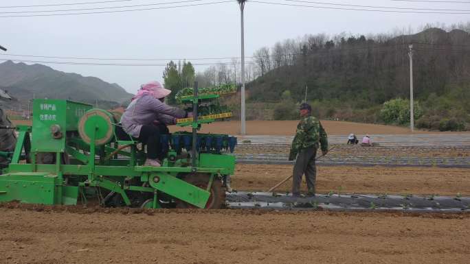 实拍机械耕作 种菜 自动化 蔬菜基地