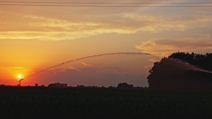 日落时玉米田的灌溉系统