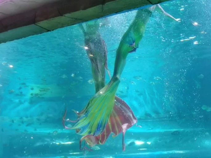馆美人鱼表演花样动作视频素材宣传片
