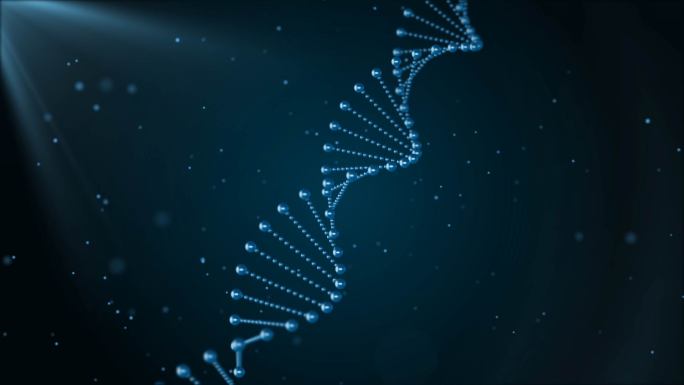 DNA基因链条 ae模板 两组动画