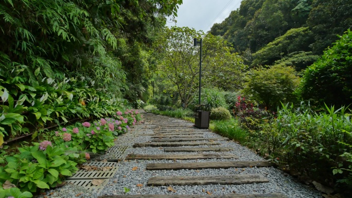 森林 山谷 山间小路 深山