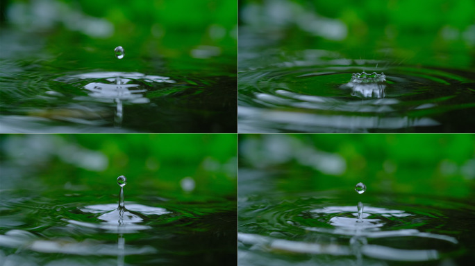 4K雨滴落下水滴入水生态天然水