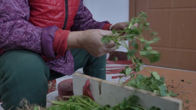 农民和老年妇女选择芫荽，并整理冬天储存的绿叶和蔬菜。