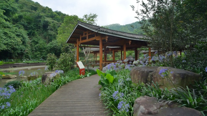 花园公园林间小路观光步道栈道