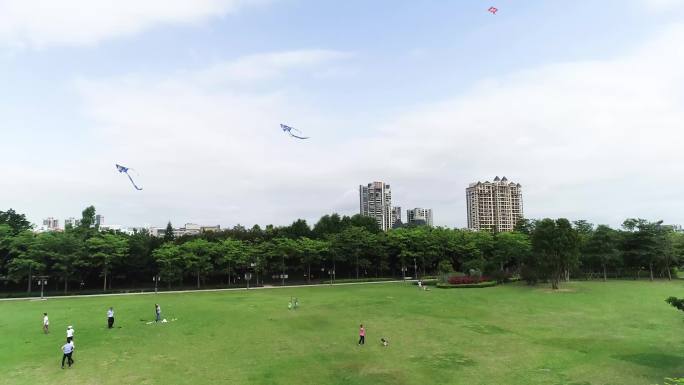 城市航拍佛山顺德顺峰山公园草坪上人放风筝