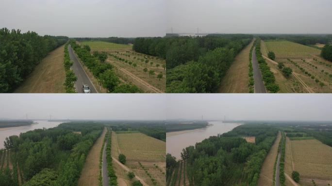 山东聊城：航拍清晨生态黄河大堤