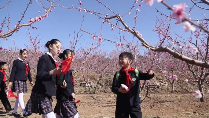 北京平谷桃花节