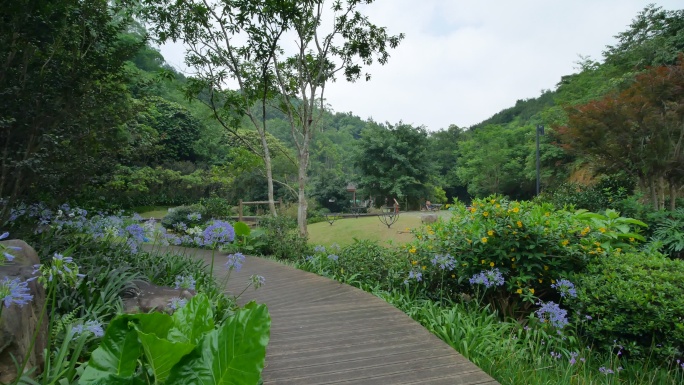 花园公园林间小路观光步道栈道