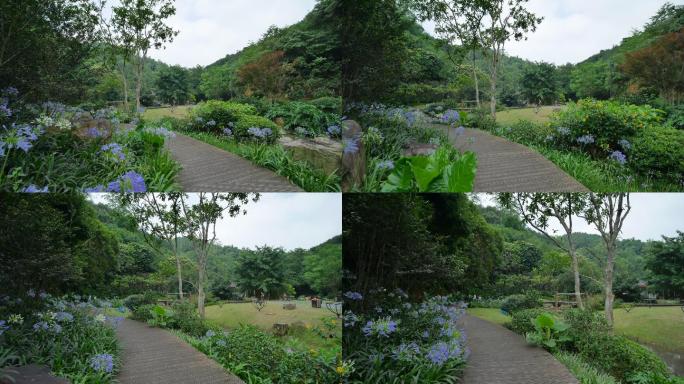 花园公园林间小路观光步道栈道