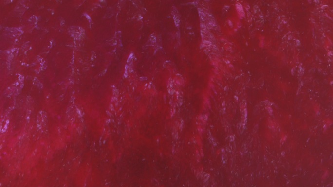 抽象红色流体背景血水液体流动