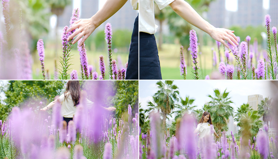 女孩在花丛中散步跳舞抚摸花朵视频
