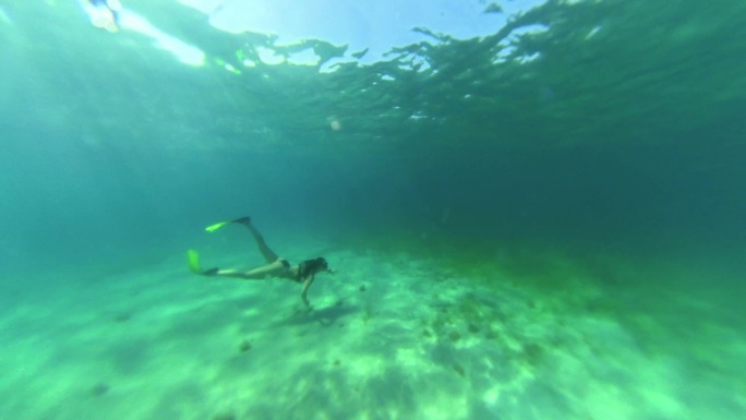 在公海自由潜水潜水服马尔代夫