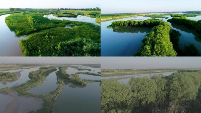 航拍湿地公园大气场景