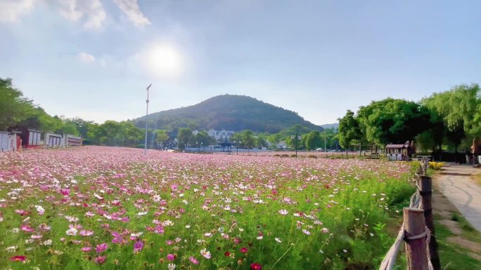 小清新乡村旅游