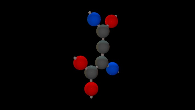 L-天冬酰胺（Asn，N）
