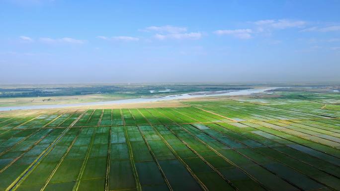 稻田万亩大地-黄河航拍河套平原