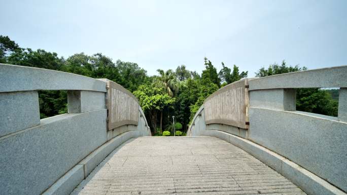 10bit422公园古石桥拱桥