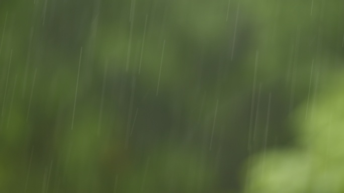 雨季 雨点 雨丝 下雨