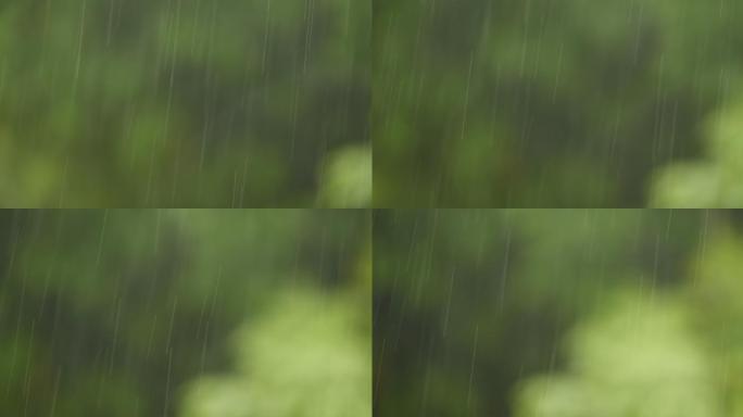 雨季 雨点 雨丝 下雨