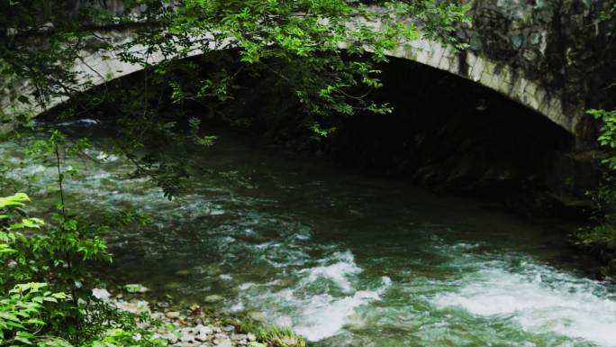 原生态山涧清泉