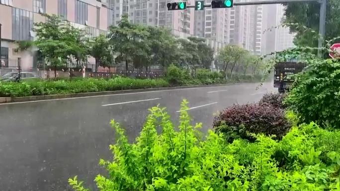 大雨中的街道红绿灯