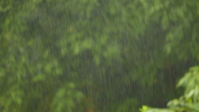 雨点雨丝