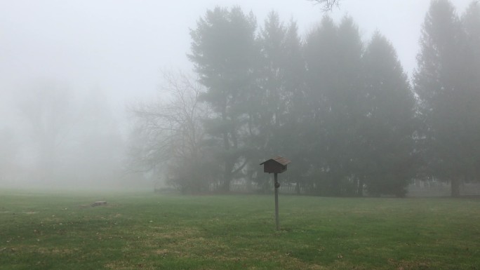 诡异的雾林中的鸟舍