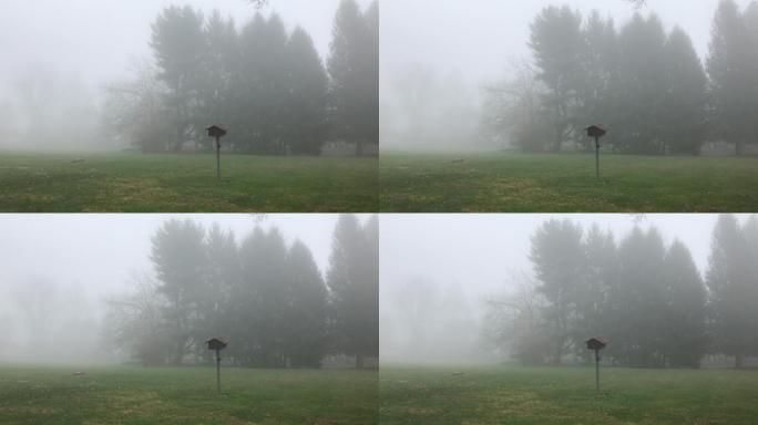 诡异的雾林中的鸟舍