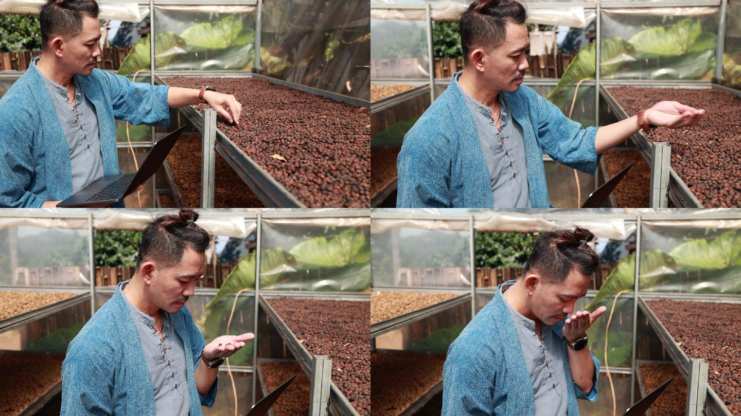 一名亚洲人在咖啡种植园检查咖啡豆的质量