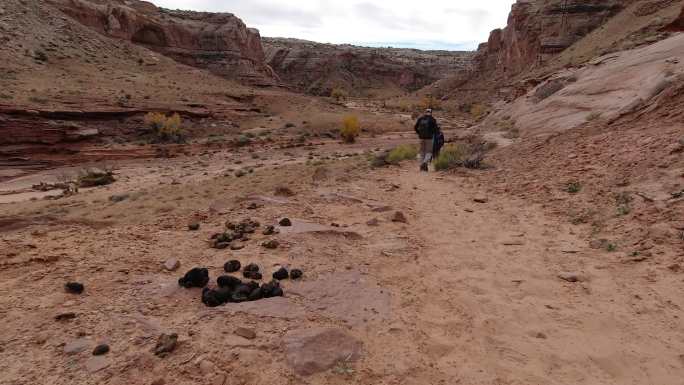 犹他州马蹄峡谷徒步小道旁一堆马粪的手持式照片