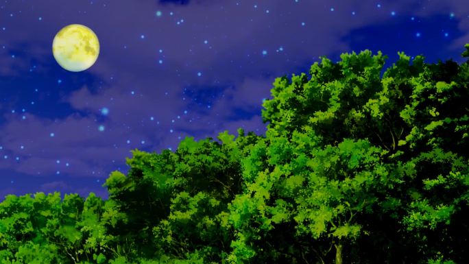 卡通野外树林森林-夜景