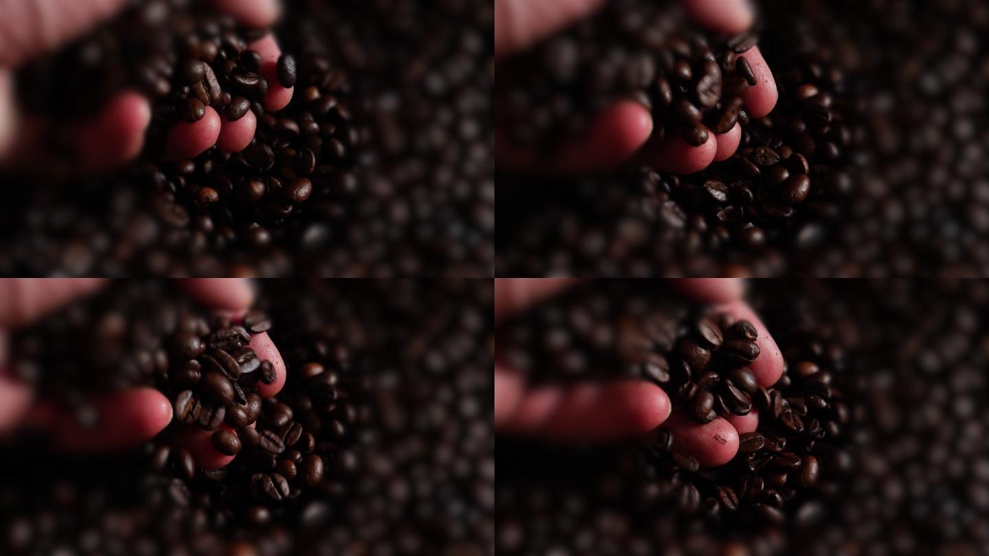 咖啡贸易商检查烤阿拉比卡咖啡豆
