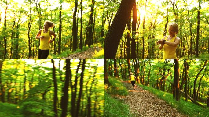 女子越野在夏季森林中跑步