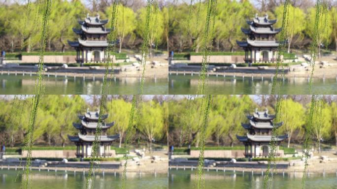 中国花园春天背景凉亭古塔颐和园昆明湖