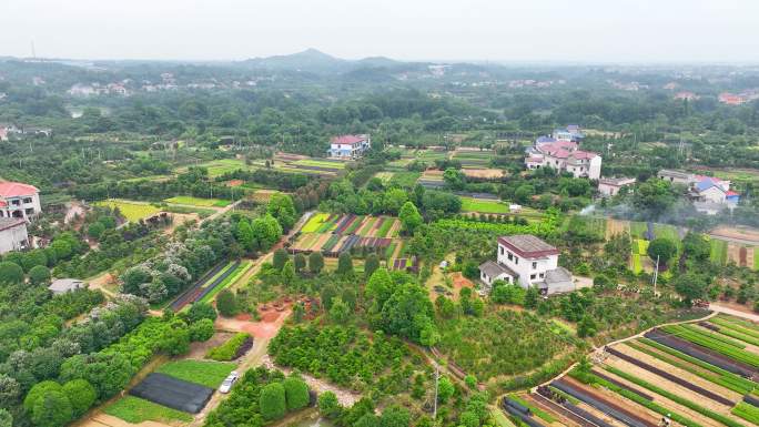 航拍湖南浏阳柏加苗木生产种植基地