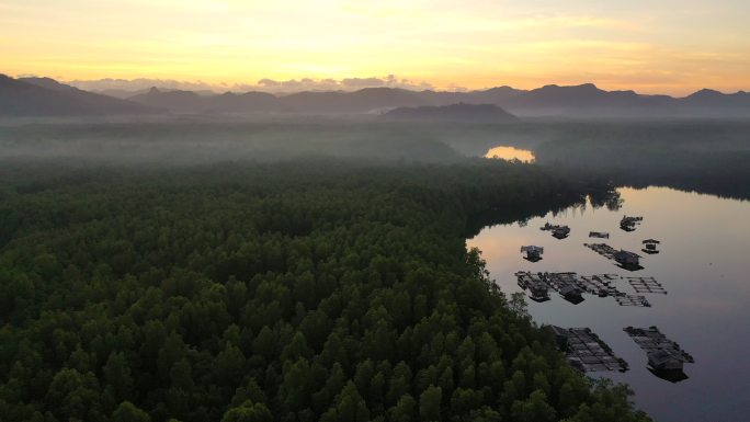 泰国佐敦省红树林福利斯的运河和渔村日出景象