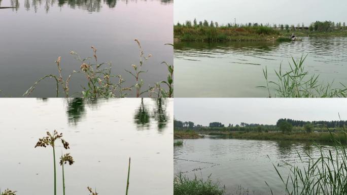 4k原创 河流两岸树木水草倒影美景空境