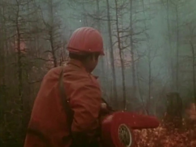 80年代森林大火