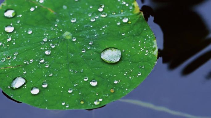 唯美屋檐下雨空镜意境