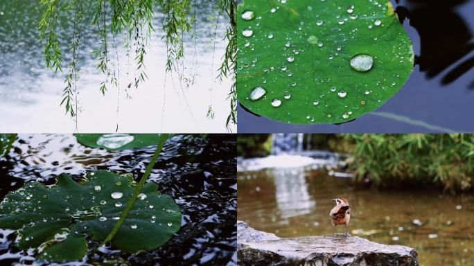 唯美屋檐下雨空镜意境