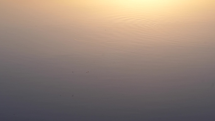 夕阳下平静的河面