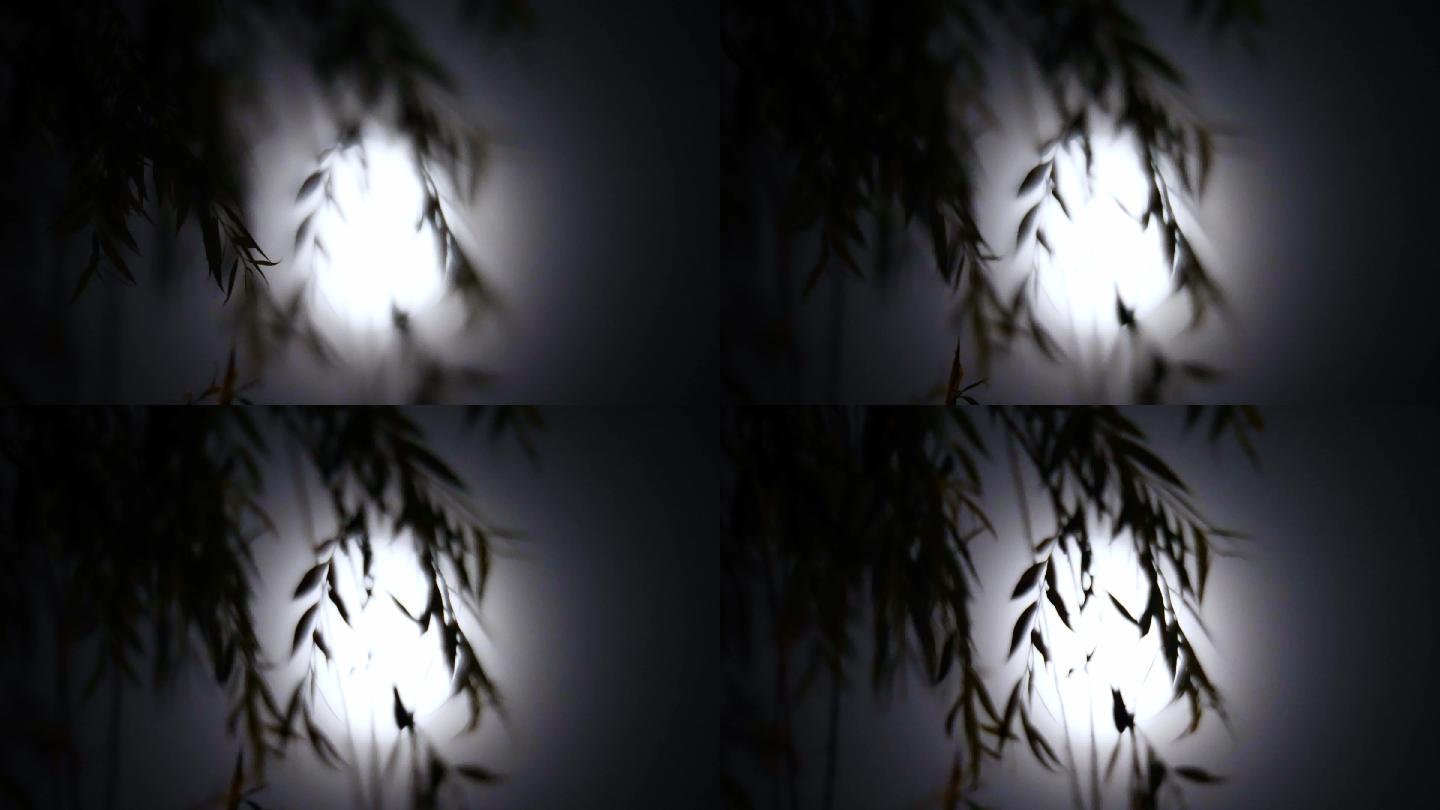 夜晚月光下的树影