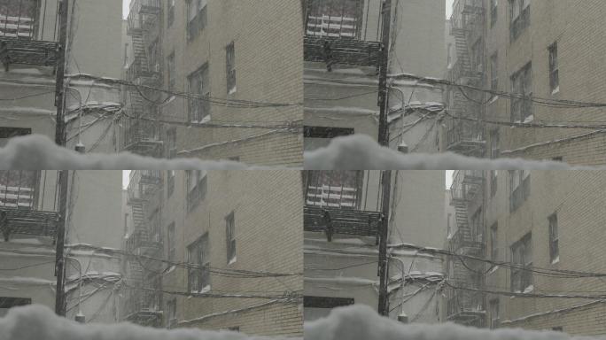 雪巷风暴纽约冬季后院郊区阿斯托里亚